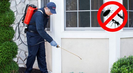 Afşin Kemirgen İlaçlama böcek ilaçlama ve haşere kontrolü — ilaclama-tr.com